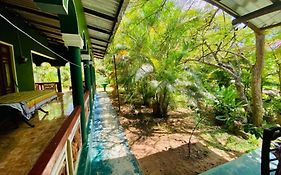 Rock Lake Home Stay